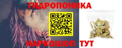 амф Славгород