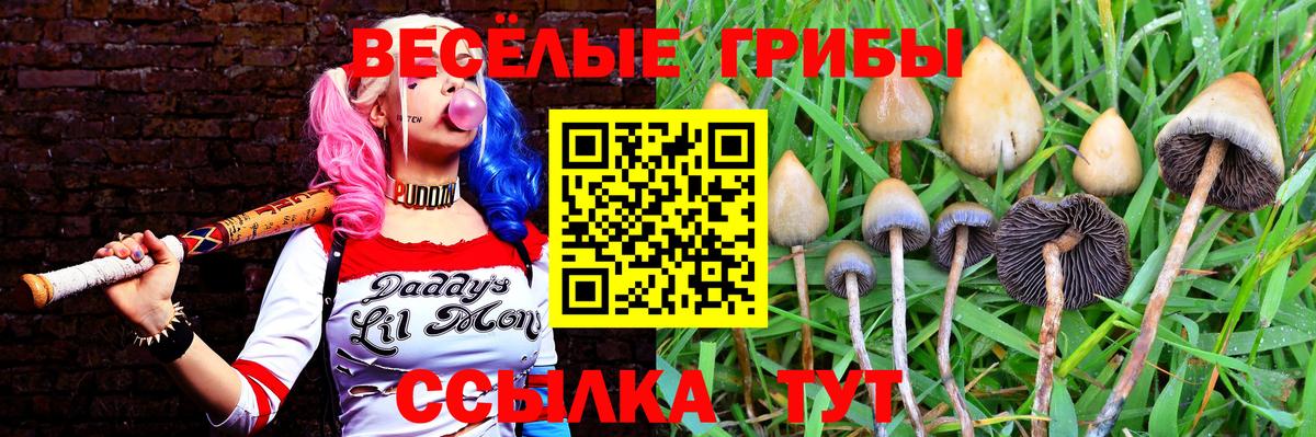 Галлюциногенные грибы Cubensis  Галлюциногенные грибы прущие грибы  дарнет шоп  Вход с VPN  Можга 